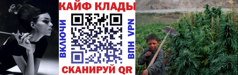 Купить закладку КОКАИН  Псилоцибиновые грибы  APVP  Канабис  ГАШ  Меф  Грайворон