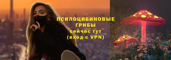 хмурый Михайловка