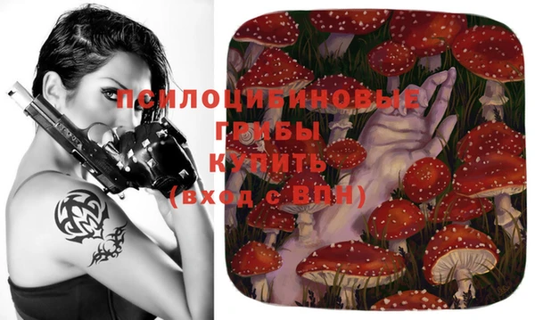 хмурый Михайловка