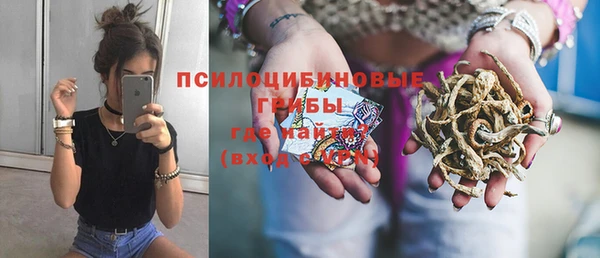apvp Михайловск