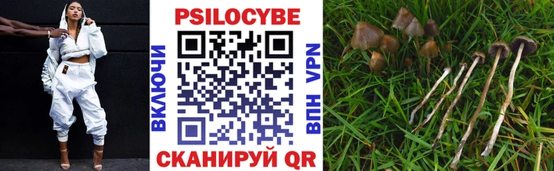 Галлюциногенные грибы ЛСД  Купить где  Грайворон 